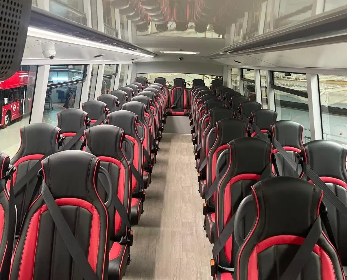 Executive Large capacity coaches